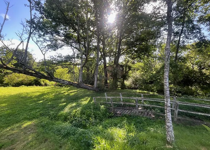 Les Hulottes אתר קמפינג