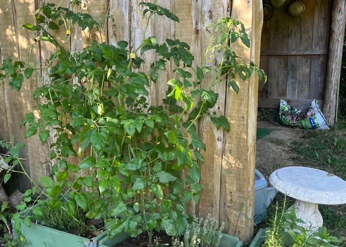 Les Hulottes אתר קמפינג *